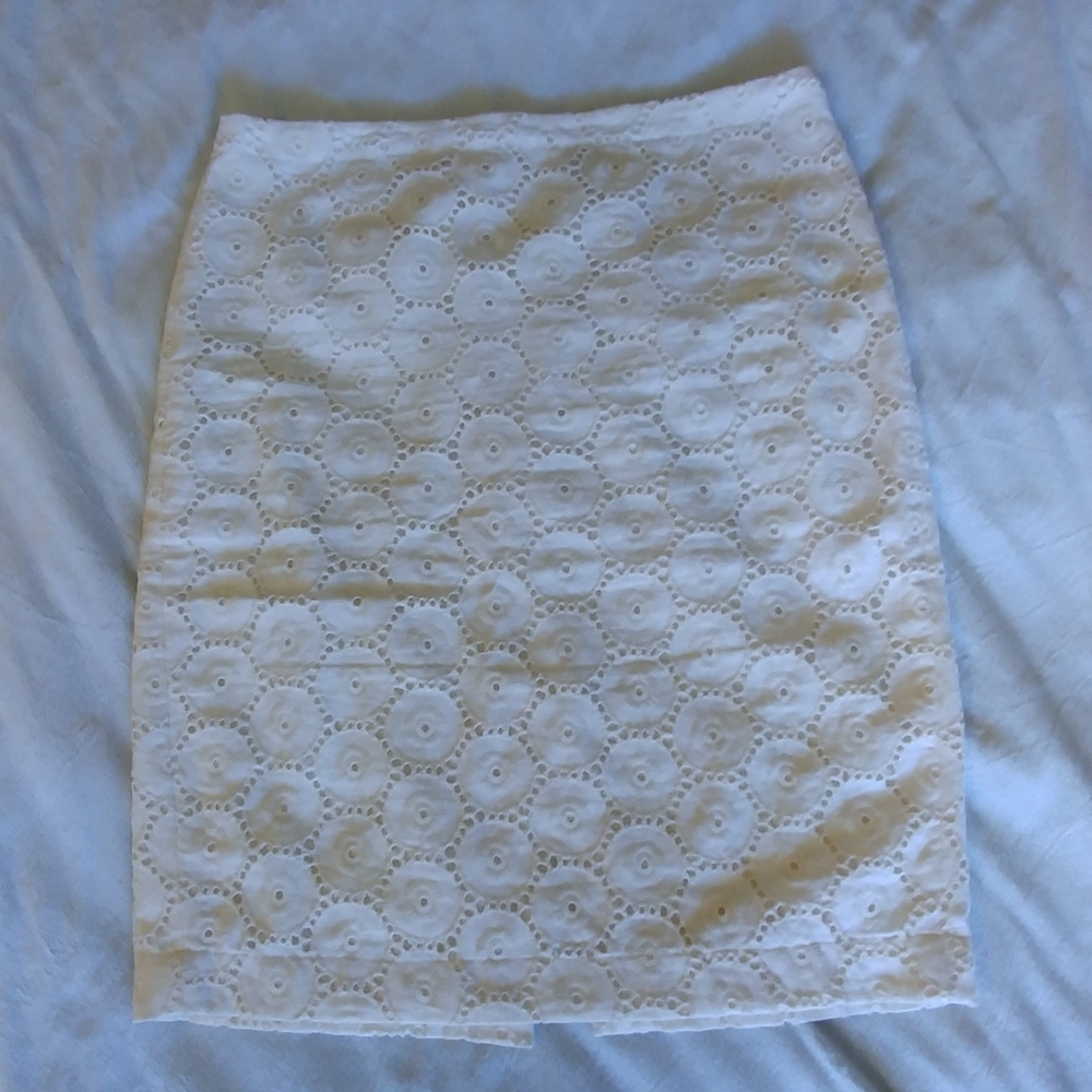 EUC Ann Taylor Lace Embroidered Skirt 12